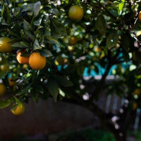 Florit Flats - The Orange Lemon Tree House Vila La Eliana Exterior foto