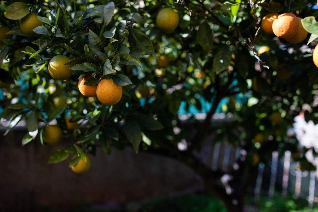 Florit Flats - The Orange Lemon Tree House Vila La Eliana Exterior foto