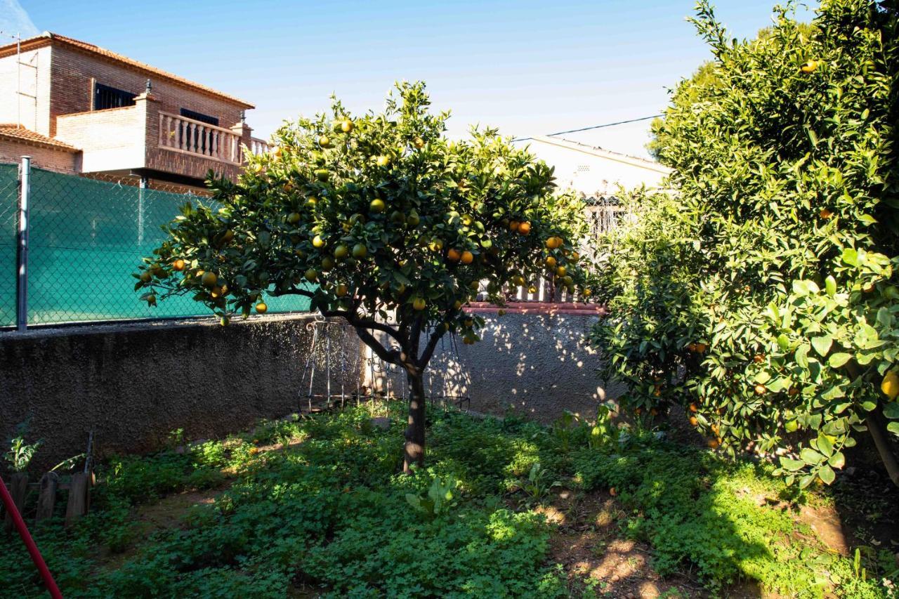 Florit Flats - The Orange Lemon Tree House Vila La Eliana Exterior foto